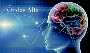 Ondas alfa y meditación